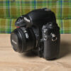 DSC 2809 Nikon F6 + Nikon 50mm f1.4